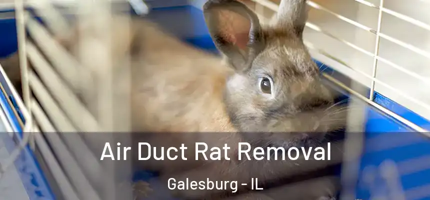  Air Duct Rat Removal Galesburg - IL