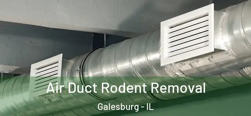 Air Duct Rodent Removal Galesburg - IL