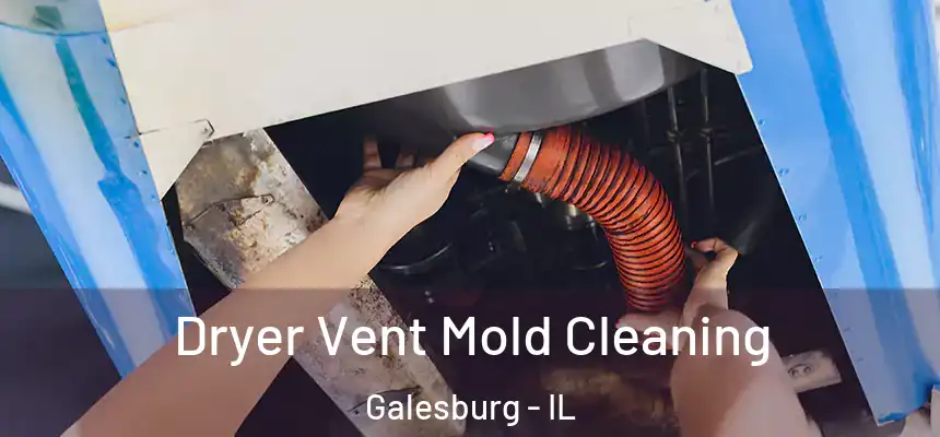 Dryer Vent Mold Cleaning Galesburg - IL