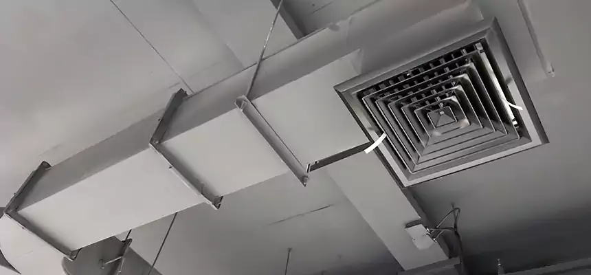 Restorative Allergy Relief Vent Cleaning – Coil, Blower & Housing Detail in Galesburg