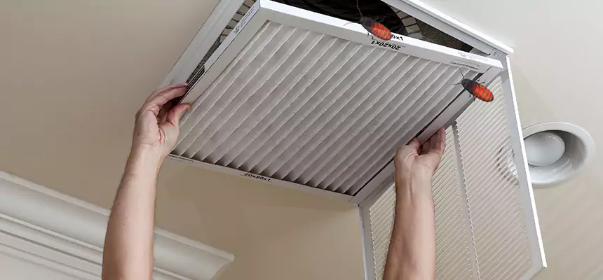 Our Insect Removal from Air Ducts Services in Galesburg, IL