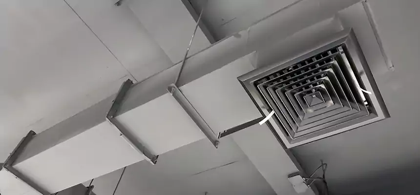 Our Rodent Droppings In Vents Services in Galesburg, IL